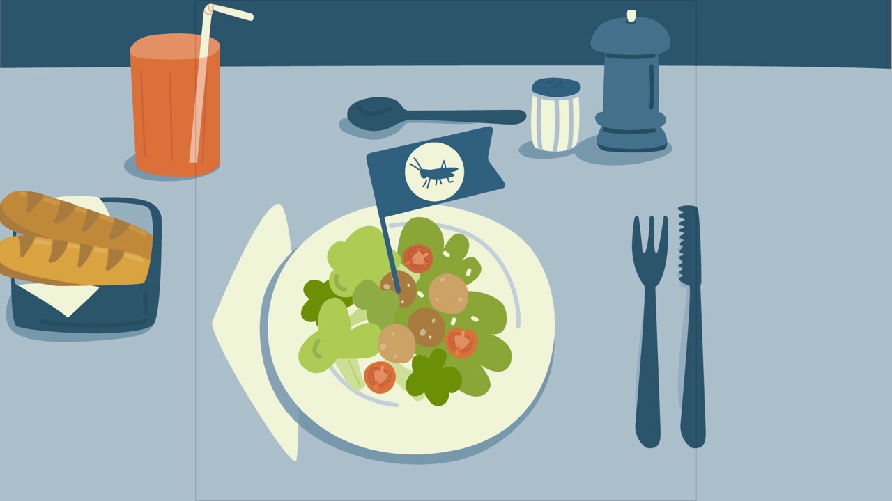 Eine Szene aus dem Video
zeigt einen Salatteller mit kleinen
Bällchen aus Insekten. Eine Fahne
kennzeichnet die Bällchen als
Insektenprodukt.